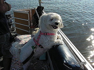 Pet Pics on Petsugar 2008-08-11 08:00:44