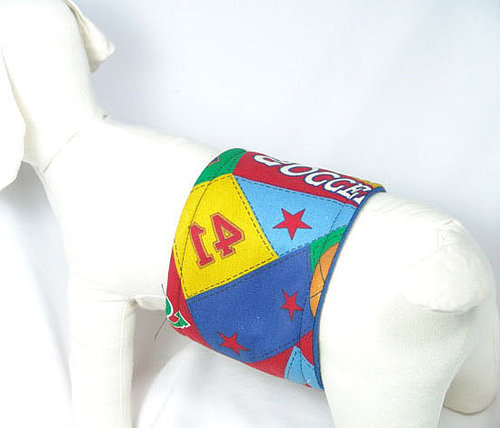 Belly Bands Stop Your Male Dogs from Marking