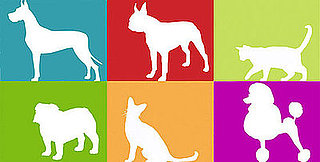 Mod Dog Breed Prints Are Too Cool