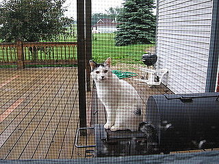Pet Pics on PetSugar 2008-08-27 08:00:43