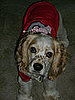 Pet Pics on Petsugar 2008-09-08 08:00:43