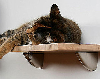 Bamboo Cat Shelves From Feel More Human and Square Cat Habitat