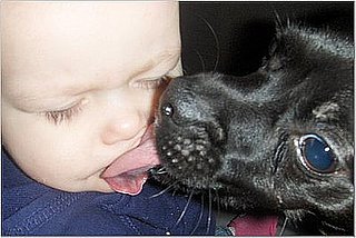 Pet Pics on Petsugar 2008-09-15 08:00:15