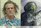 Totally Looks Like
