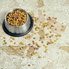 14 New Pet Food Recalls Hit Close to Home