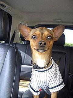 Pet Pics on Petsugar 2008-09-18 08:00:41