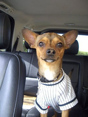 Pet Pics on Petsugar 2008-09-18 08:00:41