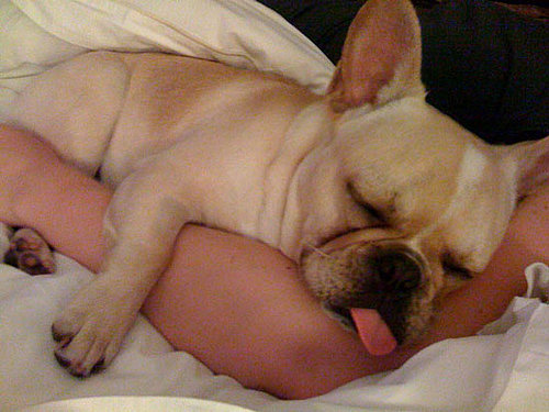Time to Relax Time to Relax