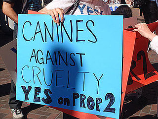 Dogs Bark Yes on Prop 2 in California