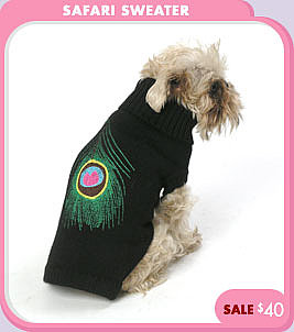 Safari Sweater SALE $40