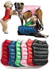 Mascots Fall Line of Cold Weather Essentials