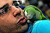 PetSugar Weekly Recap Quiz 2008-11-01 07:00:10