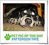 Pet Pics on Petsugar 2008-11-03 07:00:53