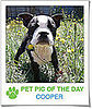 Pet Pics on Petsugar 2008-10-31 08:00:10