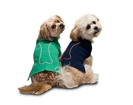 Embroidered Bone Sweater ($60)