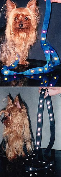 Dots Reflective Dog Leash ($18)