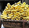 Plantain