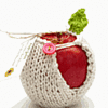 Apple Jacket: Love It or Hate It?