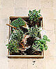 Ways to Make Your Kitchen Greener 