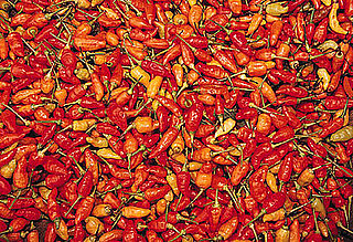 Can You Identify the Hot Pepper?