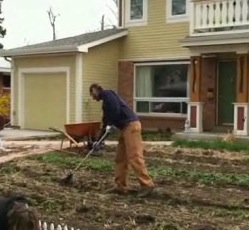 Farms Sprout in Suburbia