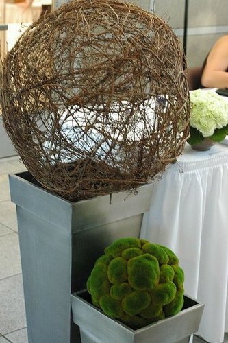 The Decor The Decor