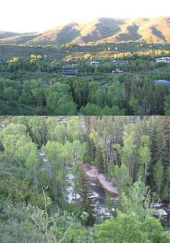 The View The View
