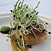 Sea Scallop