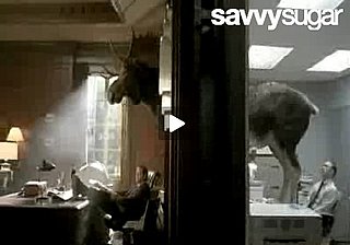 CareerBuilder Vs. Monster: Which Commercial Was Better?