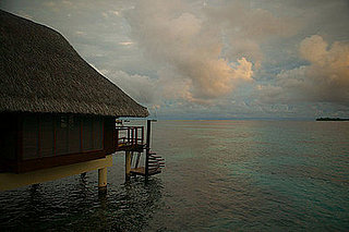 Travel Insurance