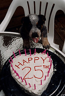 Do You Expect Guests to Pay For Your Birthday Dinner?