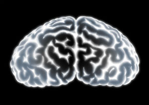 Do You Have the Brain of an Entrepreneur?