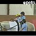 Horse Hero Helps Disease-Stricken Boy