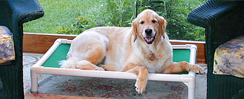 Give Back: Kuranda Dog Beds