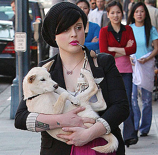 Do Tell: Would You Carry an Unleashed Dog Like Kelly O.?