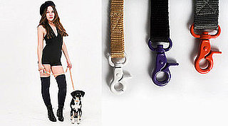 Collars and Leashes on the Cheap at American Apparel 