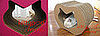 This Scratcher Lets Kitty Scratch Her Own Face 