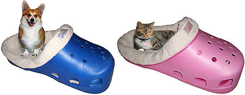 Sasquatch Pet Bed: Spoiled Sweet or Spoiled Rotten?