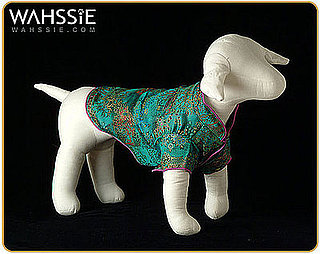 Make Your Pet the Envy of Any Chinese New Year Celebration with Qi Pao and Cheongsam 