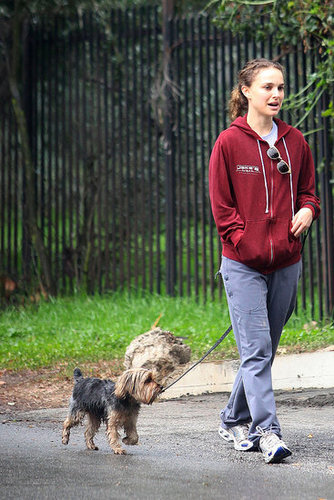 Natalie Portman Walks Her Dog Natalie Portman Walks Her Dog