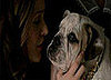 Gossip Girl Handsome Quiz: Episode 17, "Carnal Knowledge"