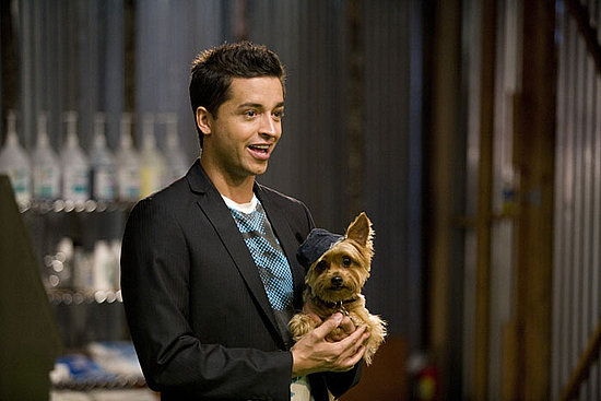 Meet the Groomer Has It Contestants Meet the Groomer Has It Contestants