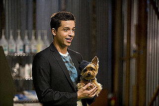 Meet the Groomer Has It Contestants 