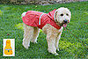 Come PetMarking With Me: April Showers