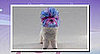 Groomer Has It Recap: "First Things First"