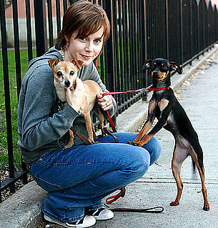 In the Spotlight: Amy Adams With Pippy and Sadie!