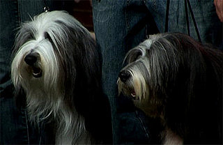 Groomer Has It Recap: "Herd Mentality"
