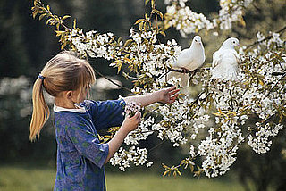 Create a Certified Wildlife Habitat in Your Backyard