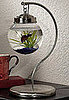 On the Ball: Make a Terrarium