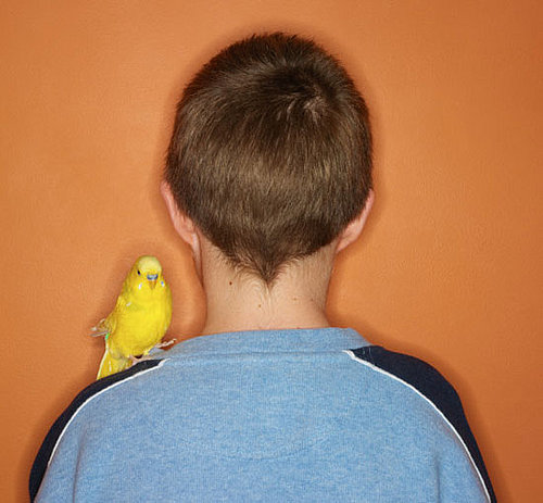 Did You Have Class Pets As a Kid?